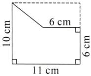 11cm