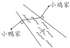 小鸭家