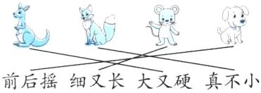 前后摇细又长大又硬真不小