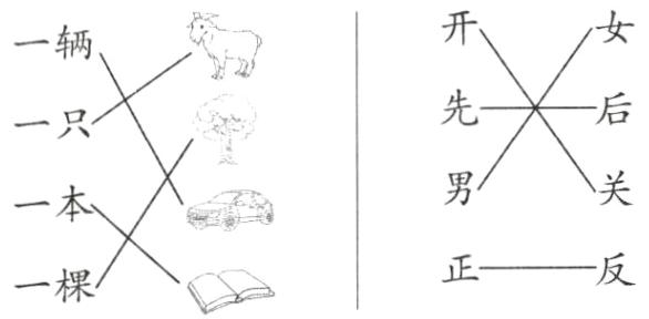 一棵
