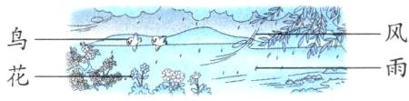 鸟风花