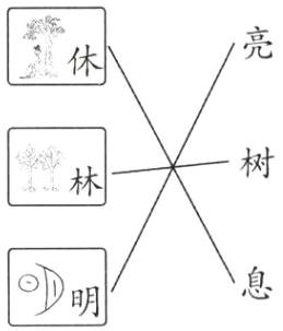 D明