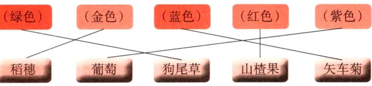 稻穗葡萄狗尾草山楂果矢车菊