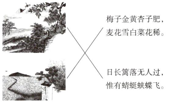 惟有蜻蜓蛱蝶飞