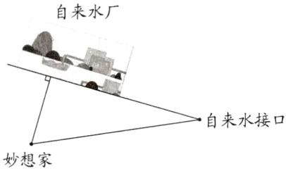 妙想家