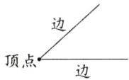 顶点