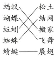 蜘蛛飞舞蜻蜓展翅