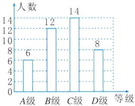 等级A级B级C级D级