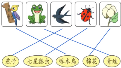 燕子七星瓤虫啄木鸟棉花青蛙