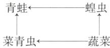 菜青虫蔬莱