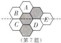 第7题
