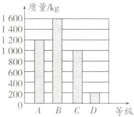 400200口ABCD等级