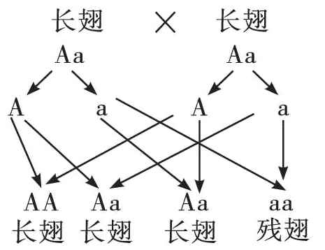 AAAaAaaa长翅长翅长翅残翅