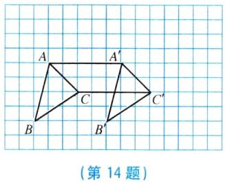 第14题