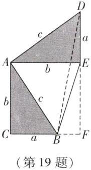 第19题