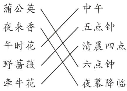 牵牛花夜幕降临