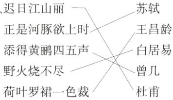 曾几野火烧不尽荷叶罗裙一色裁杜甫