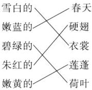 莲蓬朱红的荷叶嫩黄的