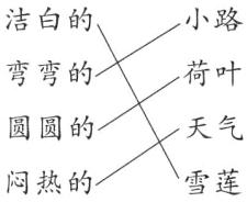 圆圆的天气雪莲闷热的