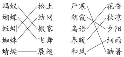 蜘蛛春暖飞舞细雨蜻蜓酷暑展翅和风