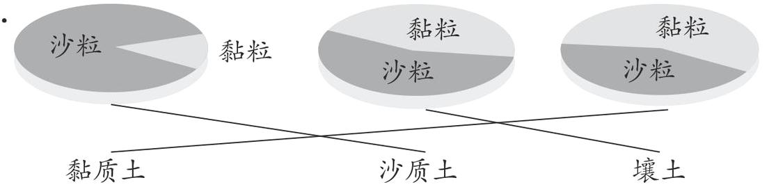 沙质土壤土黏质土