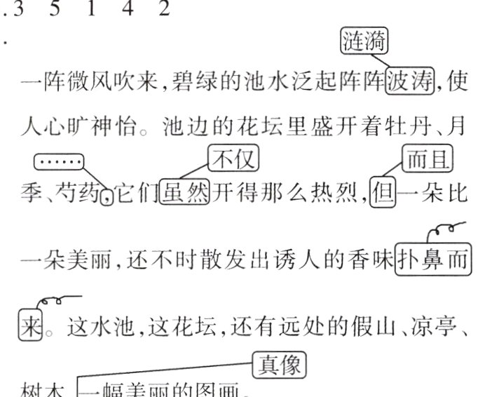 真像树木一幅美丽的图画