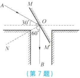第7题