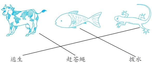 逃生赶苍蝇拨水