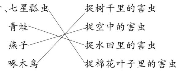 啄木鸟捉棉花叶子里的害虫