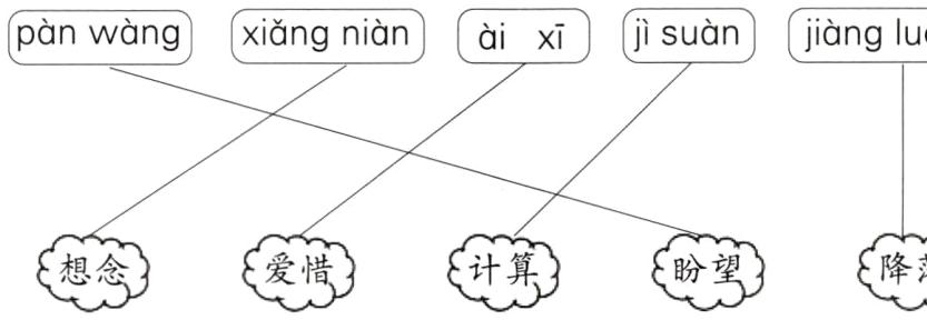 盼望降落爱惜计算想念