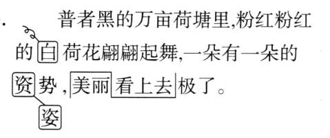 美骊看上去极了