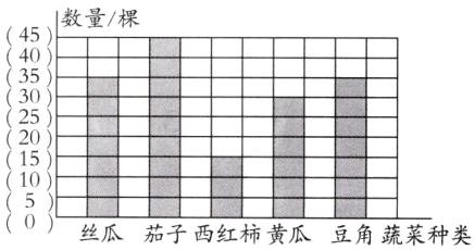 15丝瓜茄子西红柿黄瓜豆角蔬豆角蔬莱种类