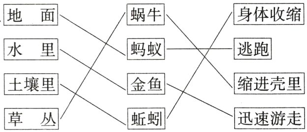 迅速游走蚯蚓草丛