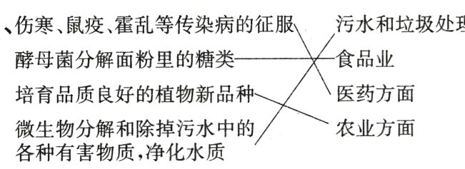 农业方面微生物分解和除掉污水中的各种有害物质净化水质