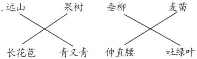 青又青伸直腰吐绿叶长花苞