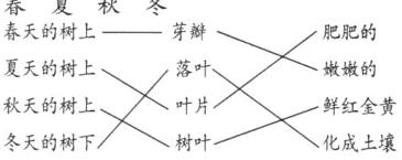 秋天的树上叶片鲜红金黄冬天的树下树叶化成土壤