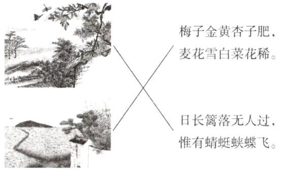 惟有蜻蜓蛱蝶飞