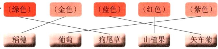 稻穗葡萄狗尾草山楂果矢车菊