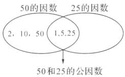 50和25的公因数