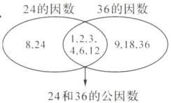 24和36的公因数