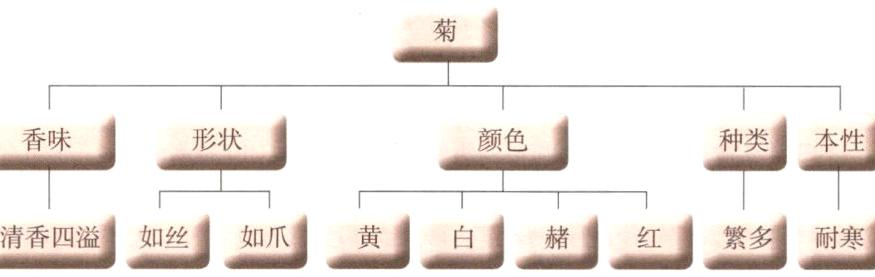 清香四溢如丝如爪黄白赭红繁多耐寒