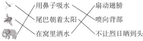 在窝里洒水不让烈日晒到头部