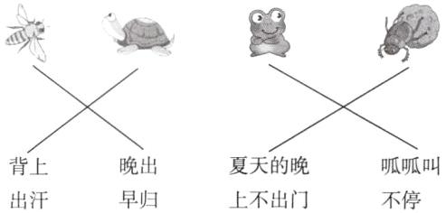 晚出夏天的晚背上呱呱叫早归上不出门出汗不停
