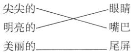 嘴巴明亮的尾屏美丽的