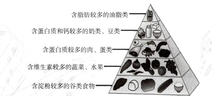 含淀粉较多的谷类食物