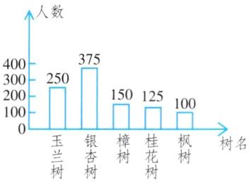玉银嚣花树树名树树