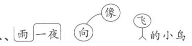 的小鸟八雨一夜