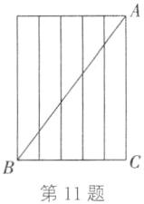 第11题