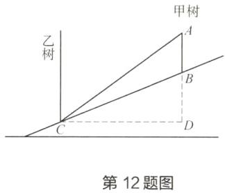 第12题图
