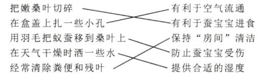 在天气干燥时洒一些水防止蚕宝宝受伤经常清除粪便和残叶提供合适的湿度